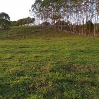 Ver anúncio COD ref#2060