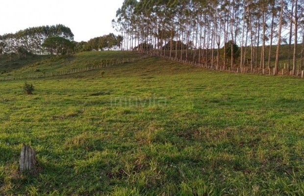 Foto ﾹ7 Fazenda/Sítio Venda em Bahia, Canavieiras, Rural