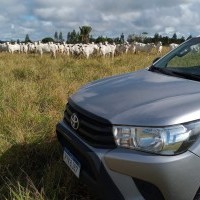 Ver anúncio COD ref#2060