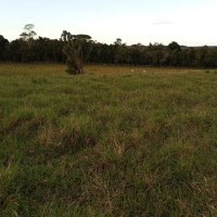 Ver anúncio COD ref#2060