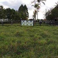 Ver anúncio COD ref#2060