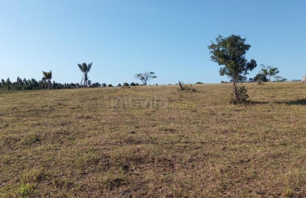 Foto ﾹ20 Fazenda/Sítio Venda em Bahia, Canavieiras, Rural