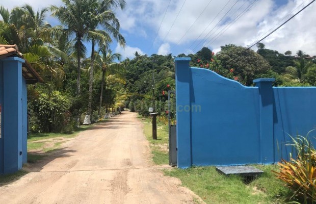 Foto ﾹ2 Lote/terreno Venda em Santa Cruz Cabrália, Bahia