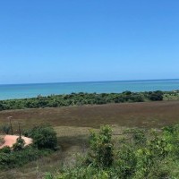 Ver anúncio COD ref#2076