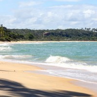 Ver anúncio COD ref#2081