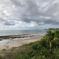 Ver anúncio COD ref#2081