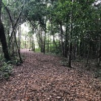 Ver anúncio COD ref#2081