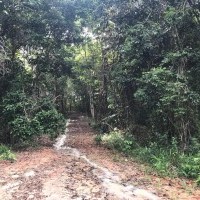 Ver anúncio COD ref#2081