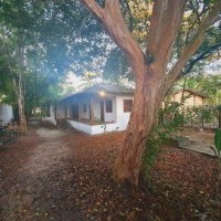 Ver anúncio COD ref#2101