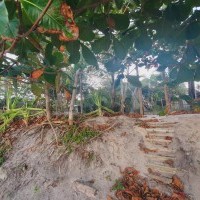 Ver anúncio COD ref#2101