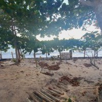 Ver anúncio COD ref#2101