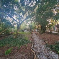 Ver anúncio COD ref#2101