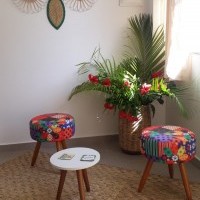 Ver anúncio COD ref#2107