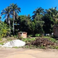 Ver anúncio COD ref#2113