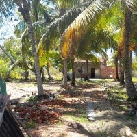 Ver anúncio COD ref#2119