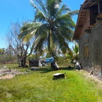 Ver anúncio COD ref#2119