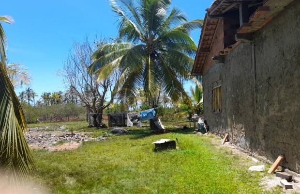 Foto ﾹ2 Fazenda/Sítio Venda em Bahia, Belmonte, Belmonte