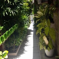 Ver anúncio COD ref#2120