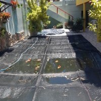 Ver anúncio COD ref#2120