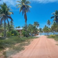 Ver anúncio COD ref#2121