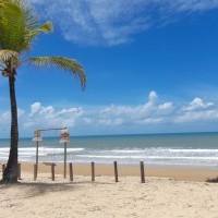 Ver anúncio COD ref#2121