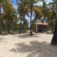 Ver anúncio COD ref#2121