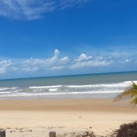 Ver anúncio COD ref#2121