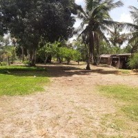 Ver anúncio COD ref#2141