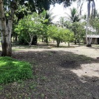 Ver anúncio COD ref#2141