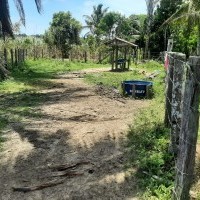 Ver anúncio COD ref#2141