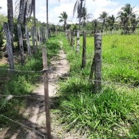 Ver anúncio COD ref#2141