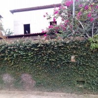 Ver anúncio COD ref#2153