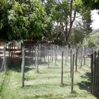 Ver anúncio COD ref#2164