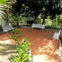 Ver anúncio COD ref#2164