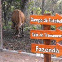 Ver anúncio COD ref#2164