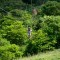 Foto ﾹ19 Fazenda/Sítio Venda em Bahia, Camaçari, Rua Terra Maior