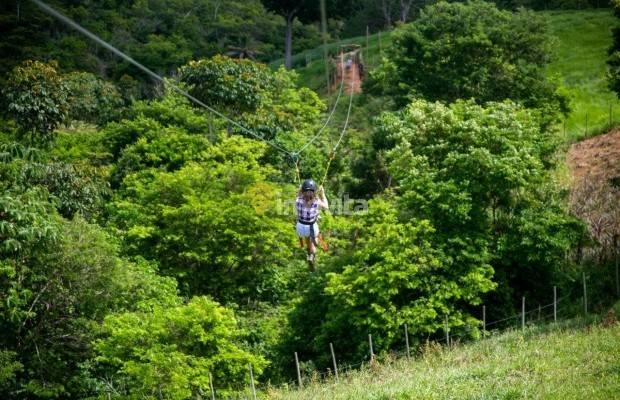 Foto ﾹ19 Fazenda/Sítio Venda em Bahia, Camaçari, Rua Terra Maior