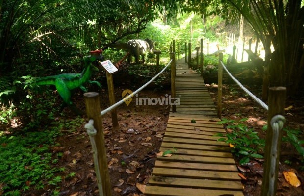 Foto ﾹ21 Fazenda/Sítio Venda em Bahia, Camaçari, Rua Terra Maior