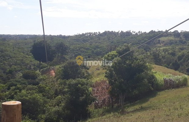 Foto ﾹ24 Fazenda/Sítio Venda em Bahia, Camaçari, Rua Terra Maior