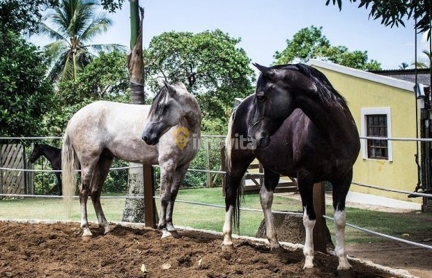 Foto ﾹ32 Fazenda/Sítio Venda em Bahia, Camaçari, Rua Terra Maior