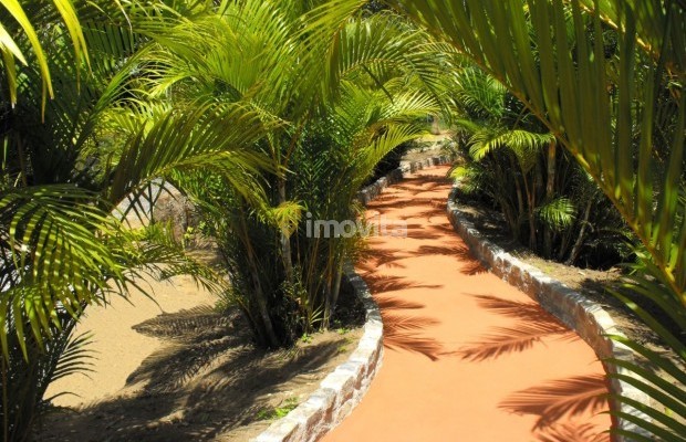 Foto ﾹ35 Fazenda/Sítio Venda em Bahia, Camaçari, Rua Terra Maior