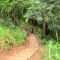 Foto ﾹ36 Fazenda/Sítio Venda em Bahia, Camaçari, Rua Terra Maior