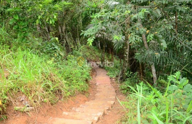 Foto ﾹ36 Fazenda/Sítio Venda em Bahia, Camaçari, Rua Terra Maior