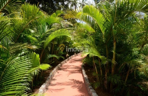 Foto ﾹ37 Fazenda/Sítio Venda em Bahia, Camaçari, Rua Terra Maior