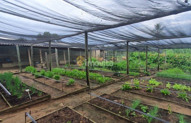 Foto ﾹ39 Fazenda/Sítio Venda em Bahia, Camaçari, Rua Terra Maior