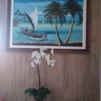 Ver anúncio COD ref#2168