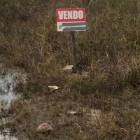 Ver anúncio COD ref#2175