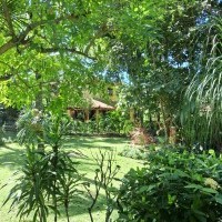 Ver anúncio COD ref#2182