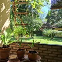 Ver anúncio COD ref#2182