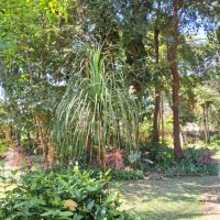 Ver anúncio COD ref#2182